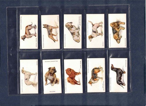 1931 john player son s - son's, dogs